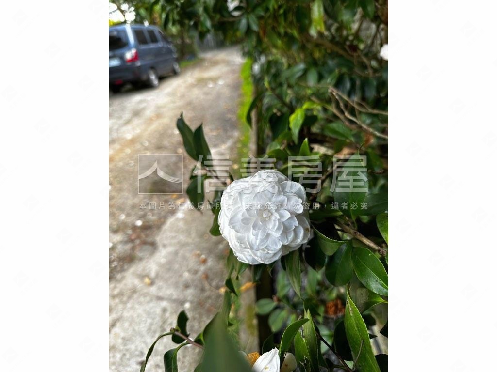 永公路２６９坪土地房屋室內格局與周邊環境