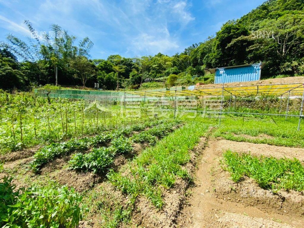 深坑土地．鄰近深坑老街房屋室內格局與周邊環境