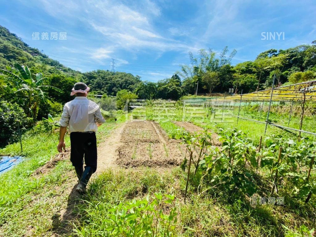 深坑土地．鄰近深坑老街房屋室內格局與周邊環境