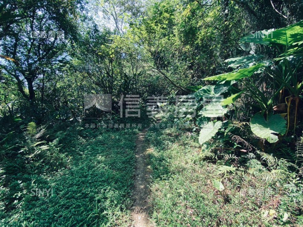 深坑土地．鄰近深坑老街房屋室內格局與周邊環境