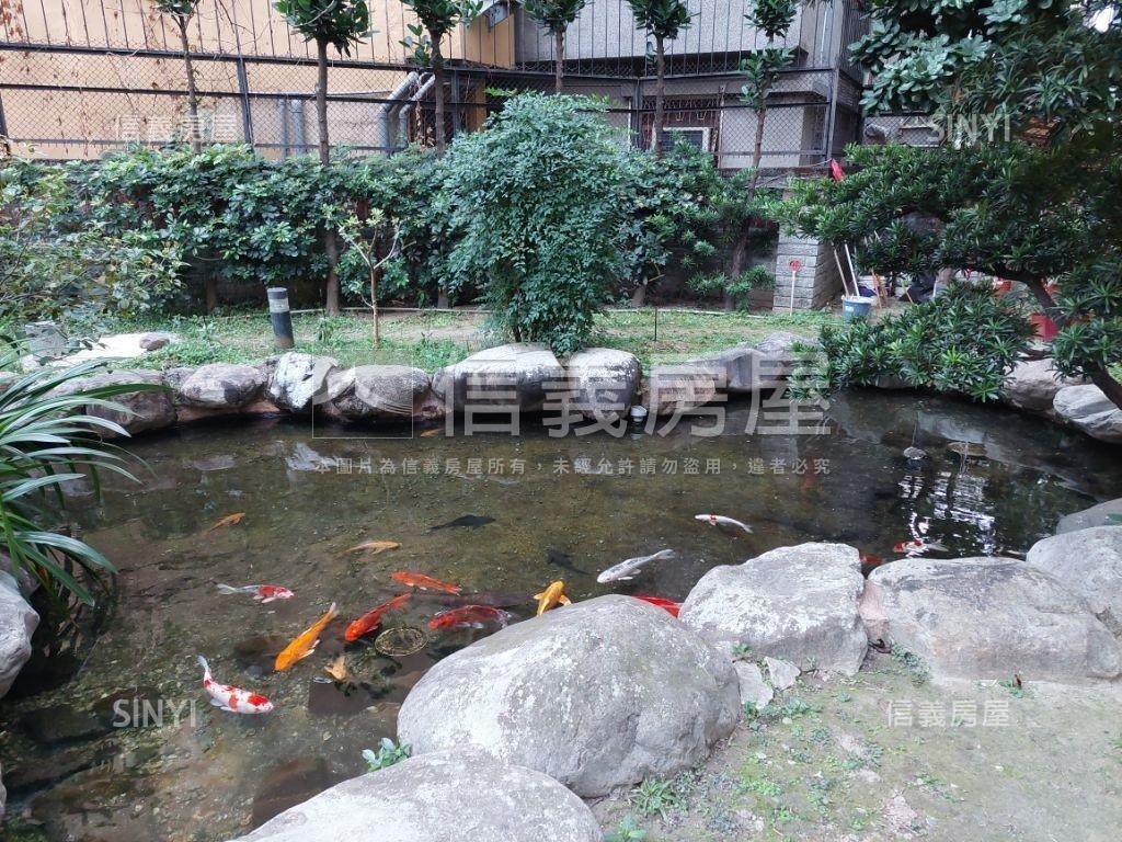 西區頂樓採光大四房兩車位房屋室內格局與周邊環境