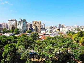 國泰美術觀道面美術綠園道