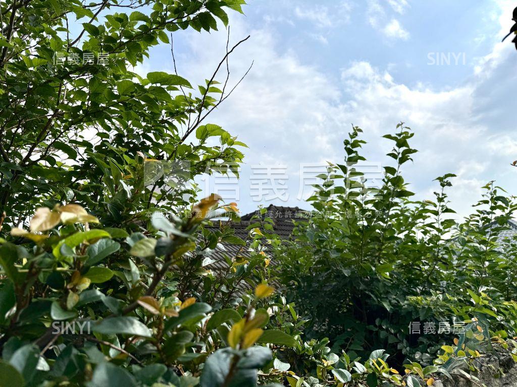 遠眺綠意．威靈頓山莊房屋室內格局與周邊環境