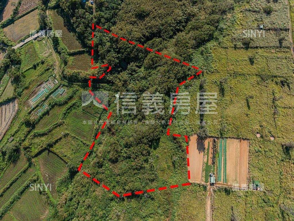 苗栗通霄６１道路旁土地房屋室內格局與周邊環境