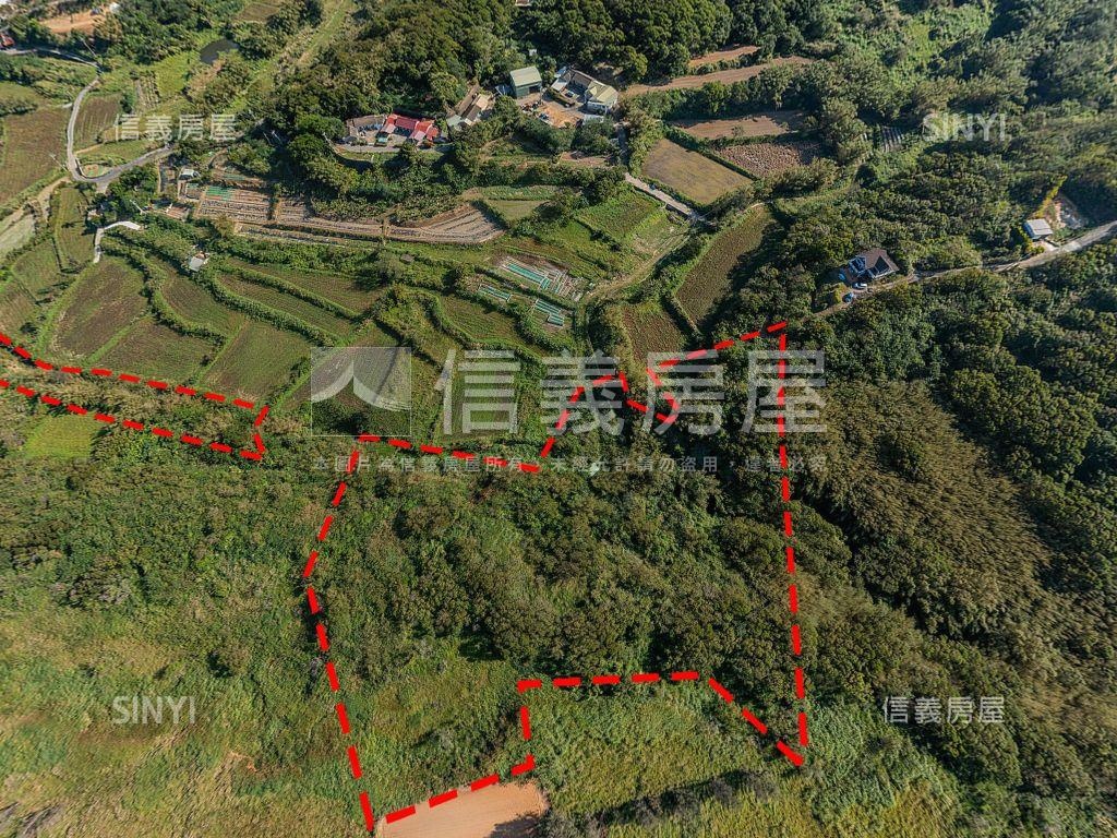 苗栗通霄６１道路旁土地房屋室內格局與周邊環境