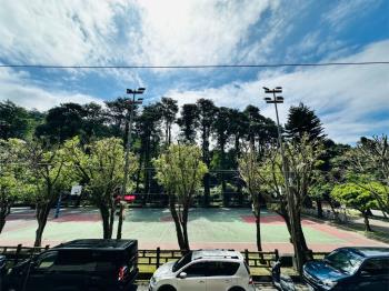 面公園清幽三房稀有二樓