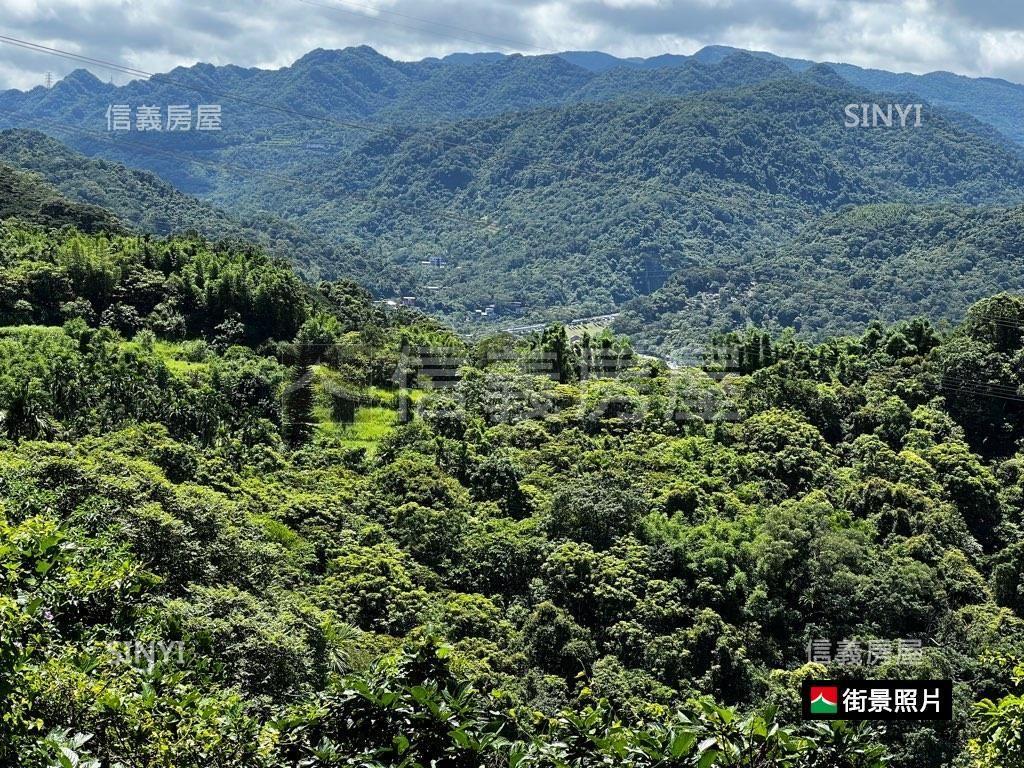 誠售新北風格街社區別墅房屋室內格局與周邊環境