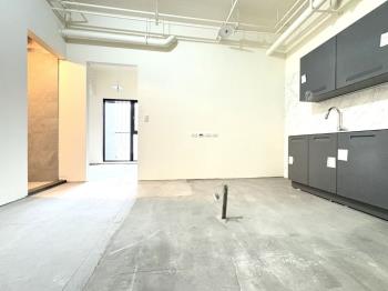 【原始兩房】雙鐵景觀豪邸