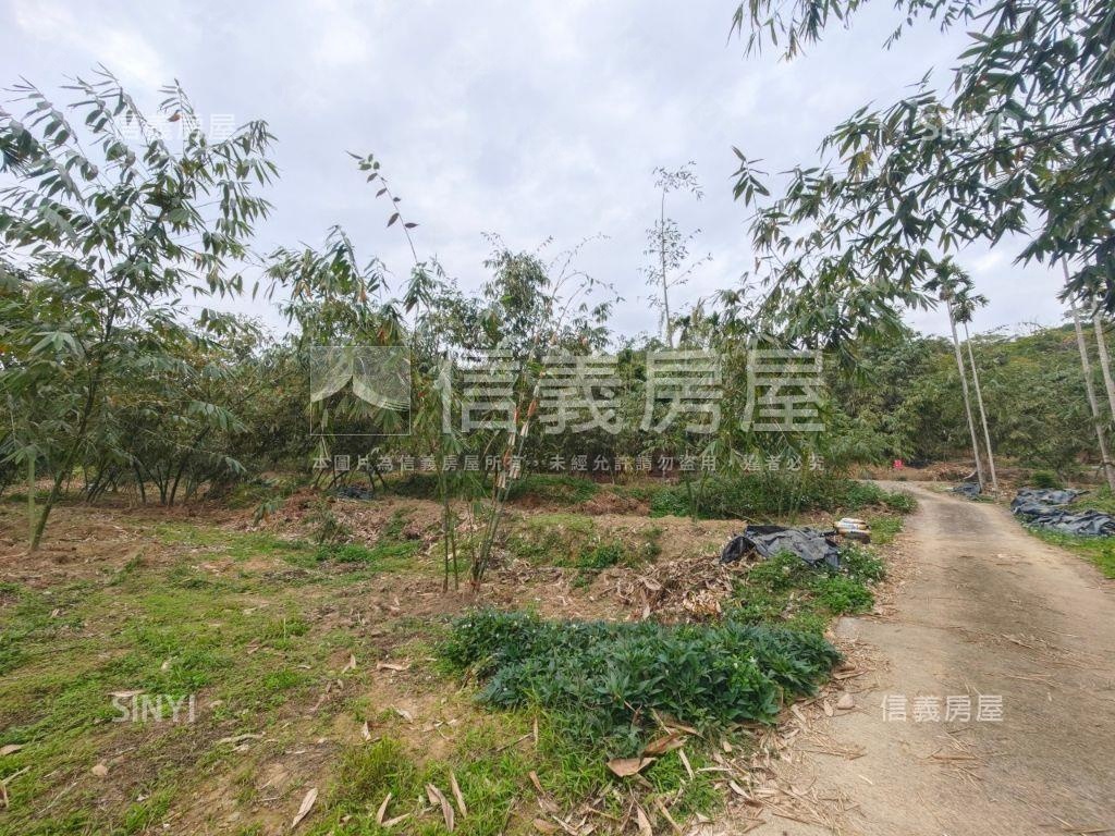 近心之芳庭農地Ｂ房屋室內格局與周邊環境