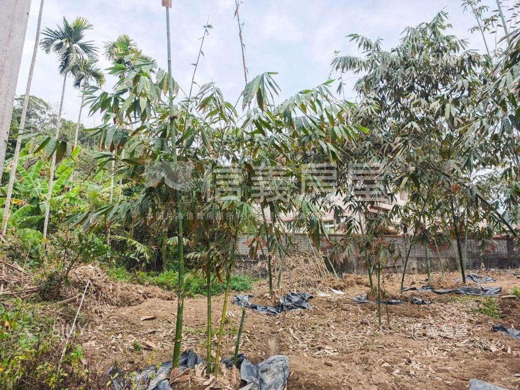 近心之芳庭農地Ｂ房屋室內格局與周邊環境