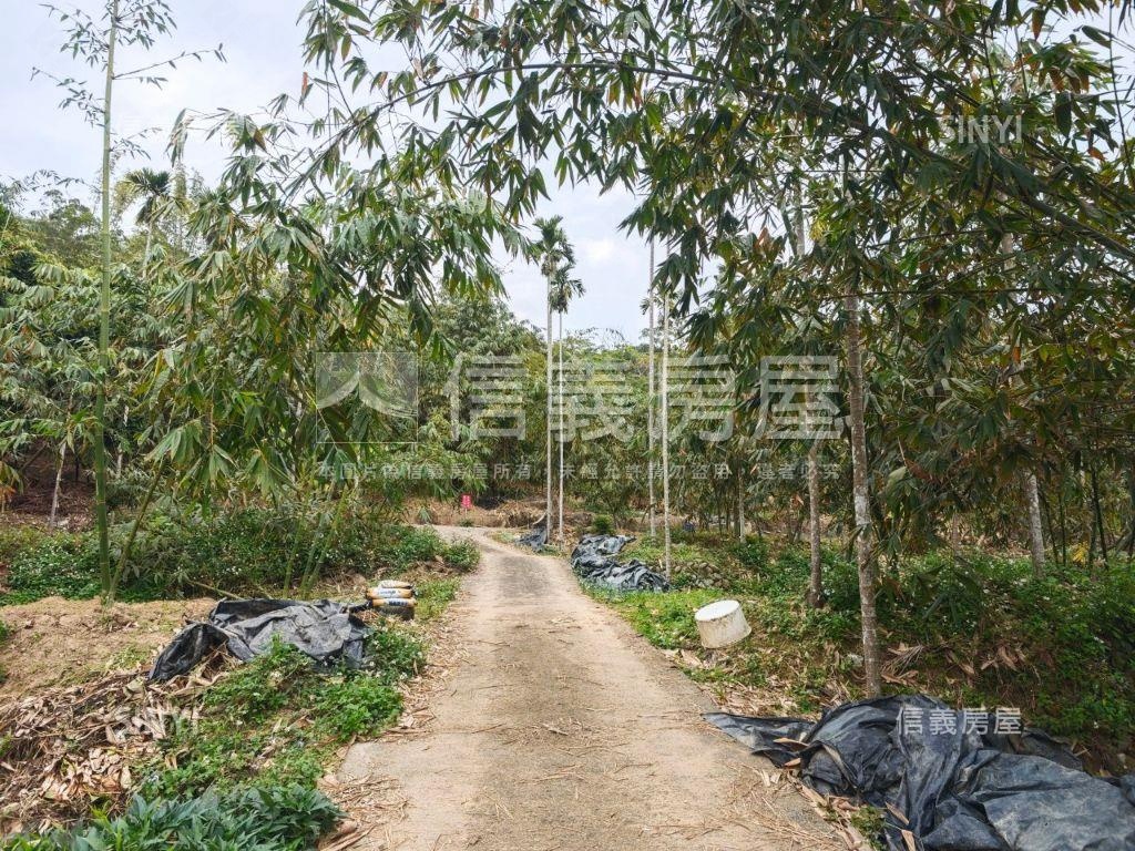 近心之芳庭農地Ｂ房屋室內格局與周邊環境