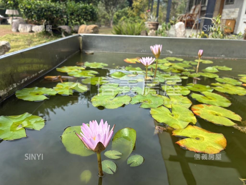 南投靜悠退休首選農舍房屋室內格局與周邊環境