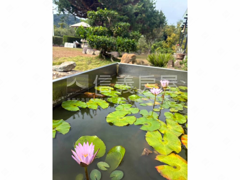 南投靜悠退休首選農舍房屋室內格局與周邊環境