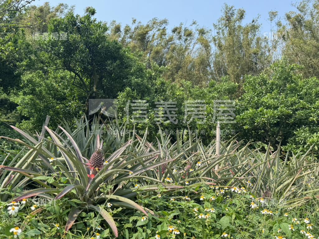 山嵐輕繞悠然靜居天地Ａ房屋室內格局與周邊環境