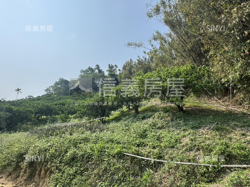 山嵐輕繞悠然靜居天地Ａ房屋室內格局與周邊環境