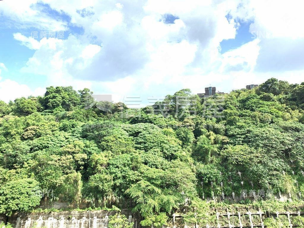 面寬挑高維瓦第黃金住店房屋室內格局與周邊環境