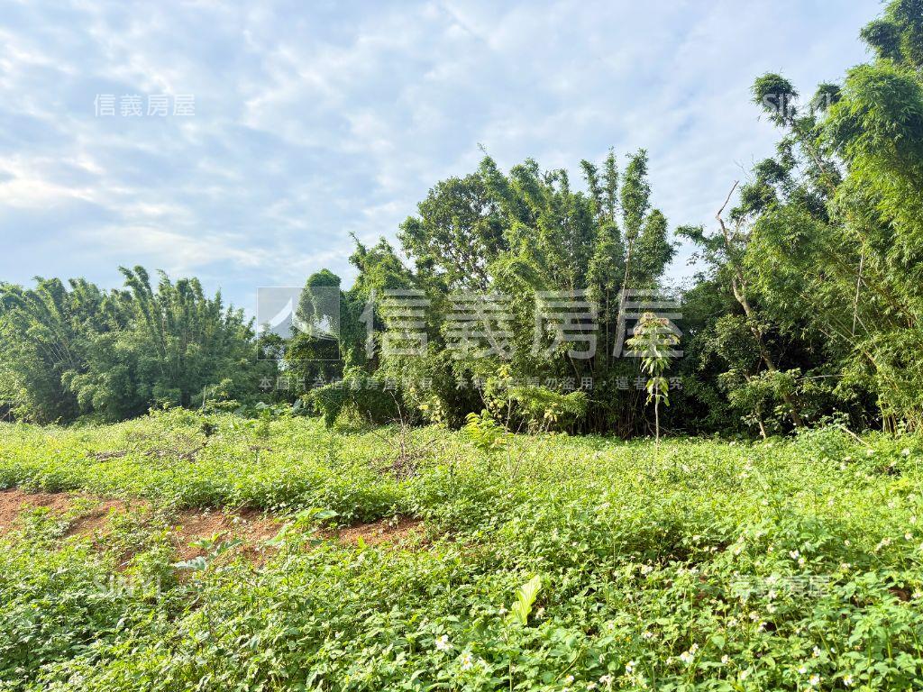 白沙灣段臨路農地房屋室內格局與周邊環境