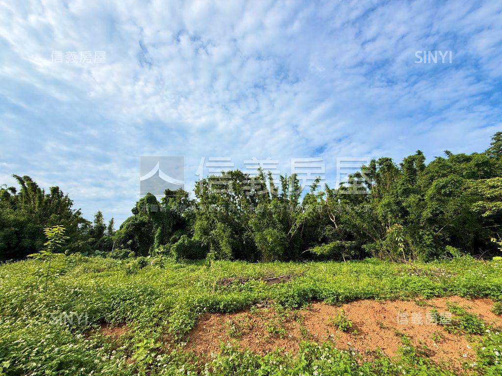 白沙灣段臨路農地房屋室內格局與周邊環境