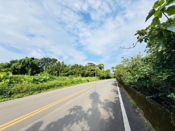 白沙灣段臨路農地