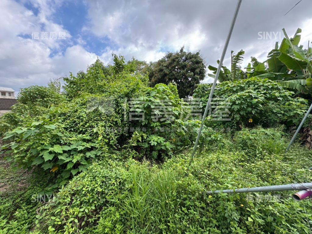 山上區土地Ａ房屋室內格局與周邊環境
