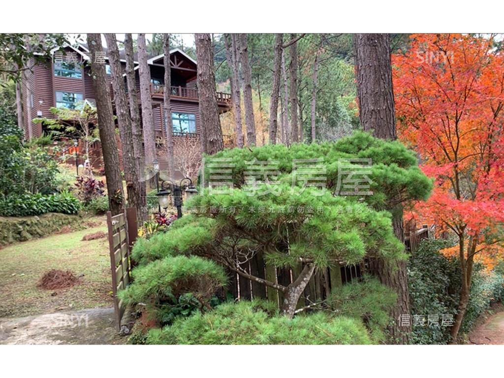 南庄生活圈周邊買地送木屋房屋室內格局與周邊環境