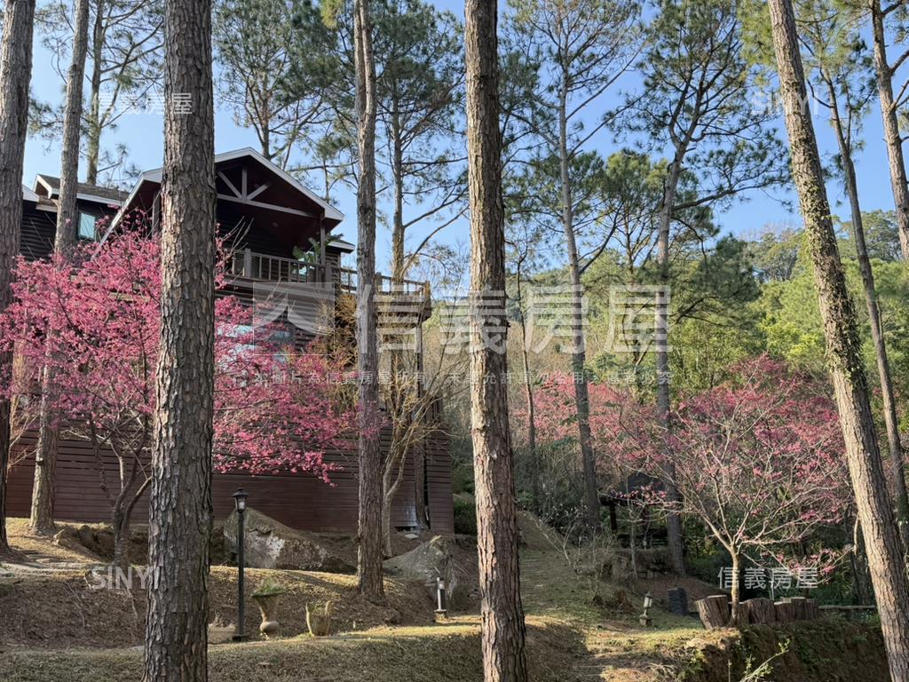 南庄生活圈周邊買地送木屋房屋室內格局與周邊環境