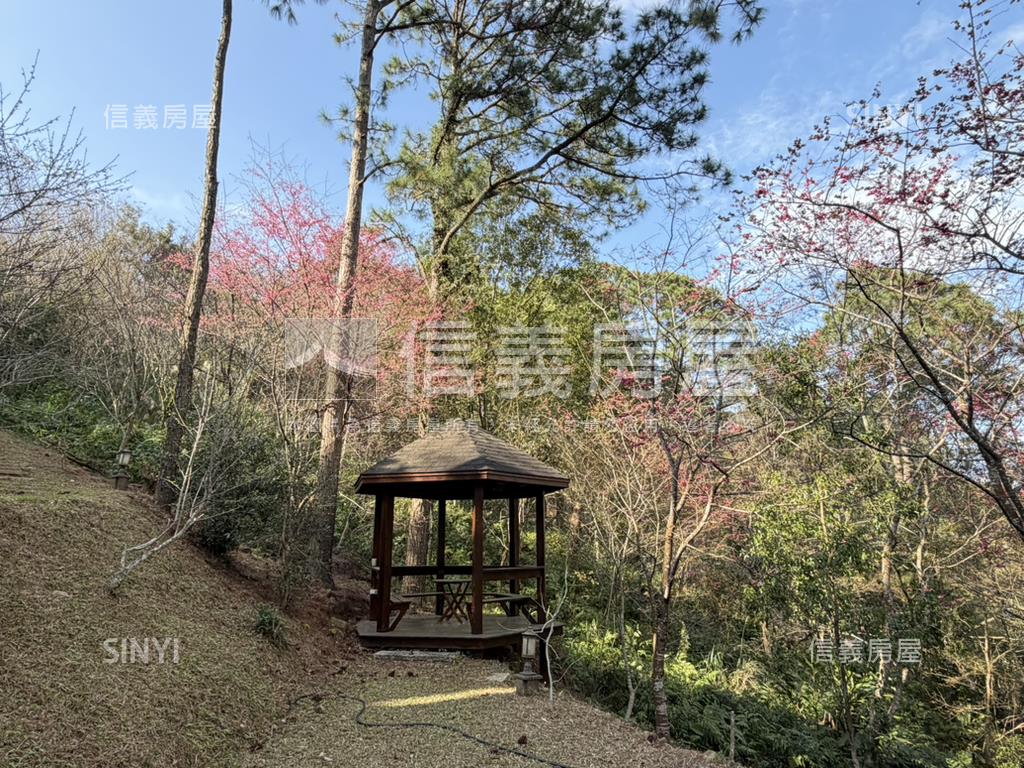 南庄生活圈周邊買地送木屋房屋室內格局與周邊環境