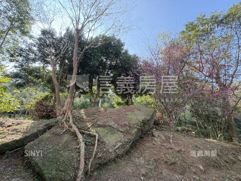 南庄生活圈周邊買地送木屋房屋室內格局與周邊環境