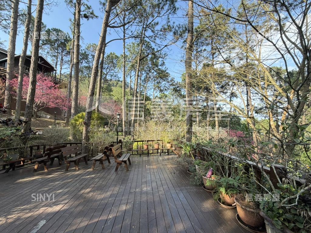 南庄生活圈周邊買地送木屋房屋室內格局與周邊環境