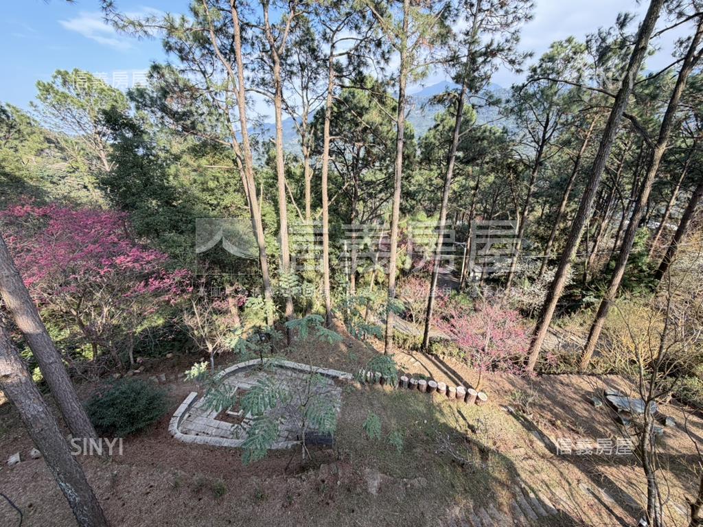 南庄生活圈周邊買地送木屋房屋室內格局與周邊環境