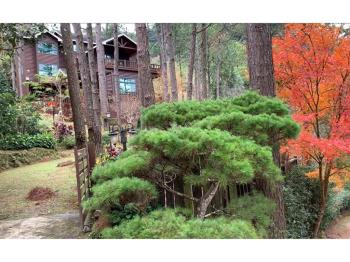 南庄生活圈周邊買地送木屋