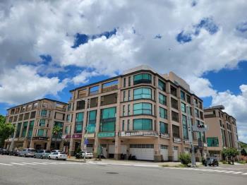 近高鐵挑高採光透店雙車位