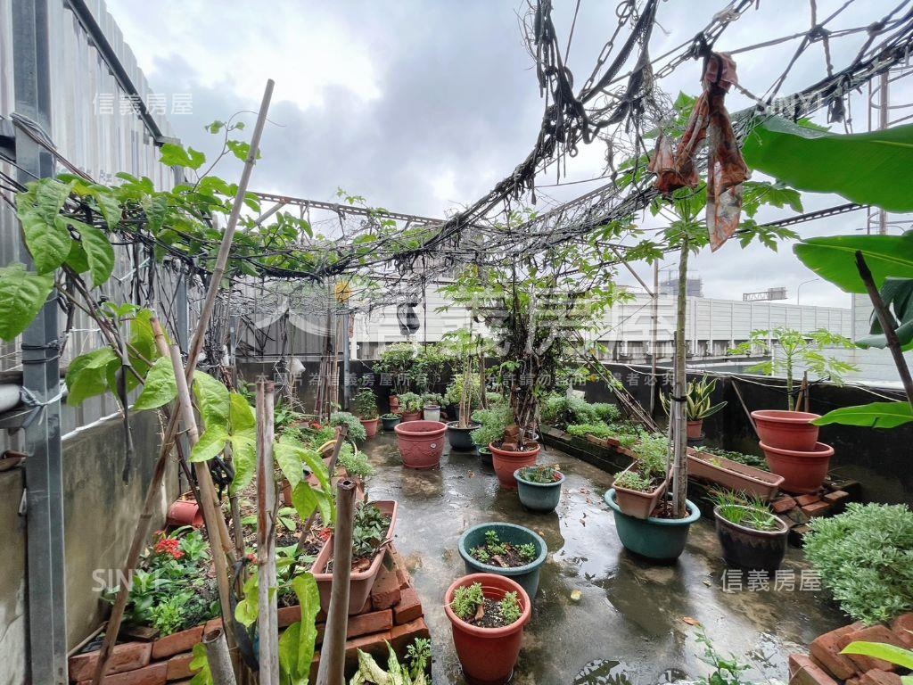 武陵路旁懷舊透天房屋室內格局與周邊環境