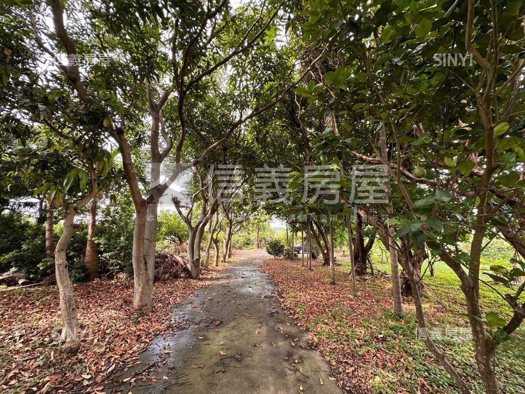 熱鬧竹北千坪土地農舍房屋室內格局與周邊環境