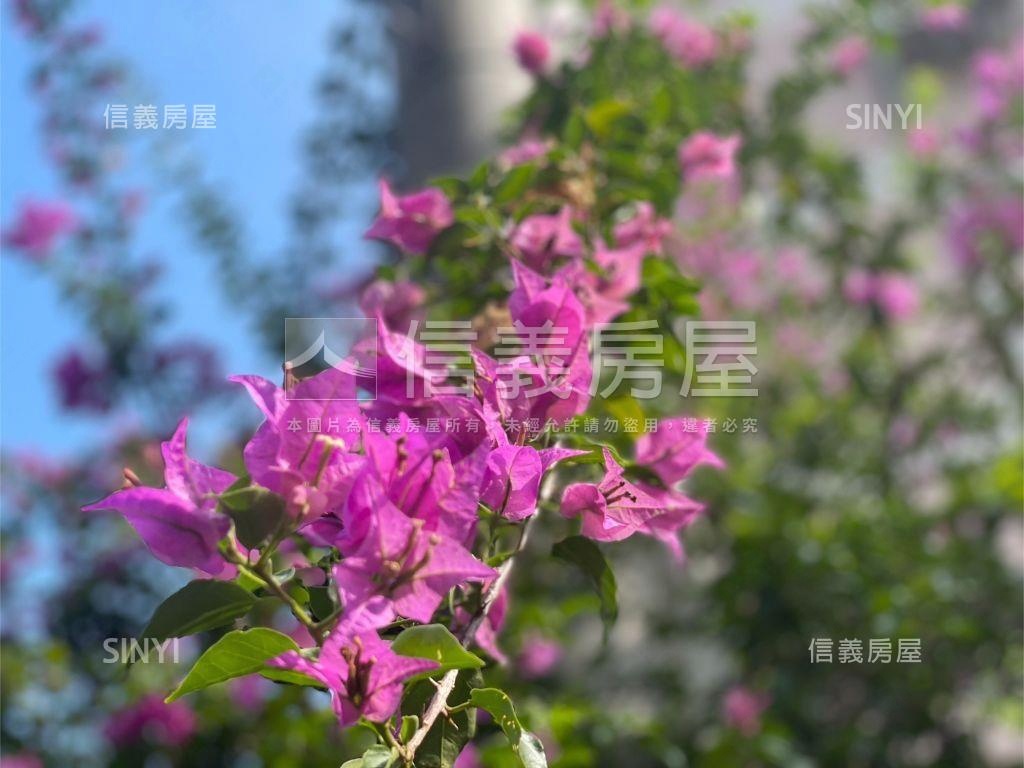 區公所方正２樓房屋室內格局與周邊環境