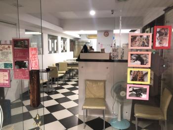 逢甲便當街吃市店面Ｂ可談