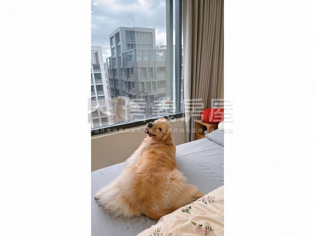 獨家仁仁邑稀有壓箱寶兩房房屋室內格局與周邊環境