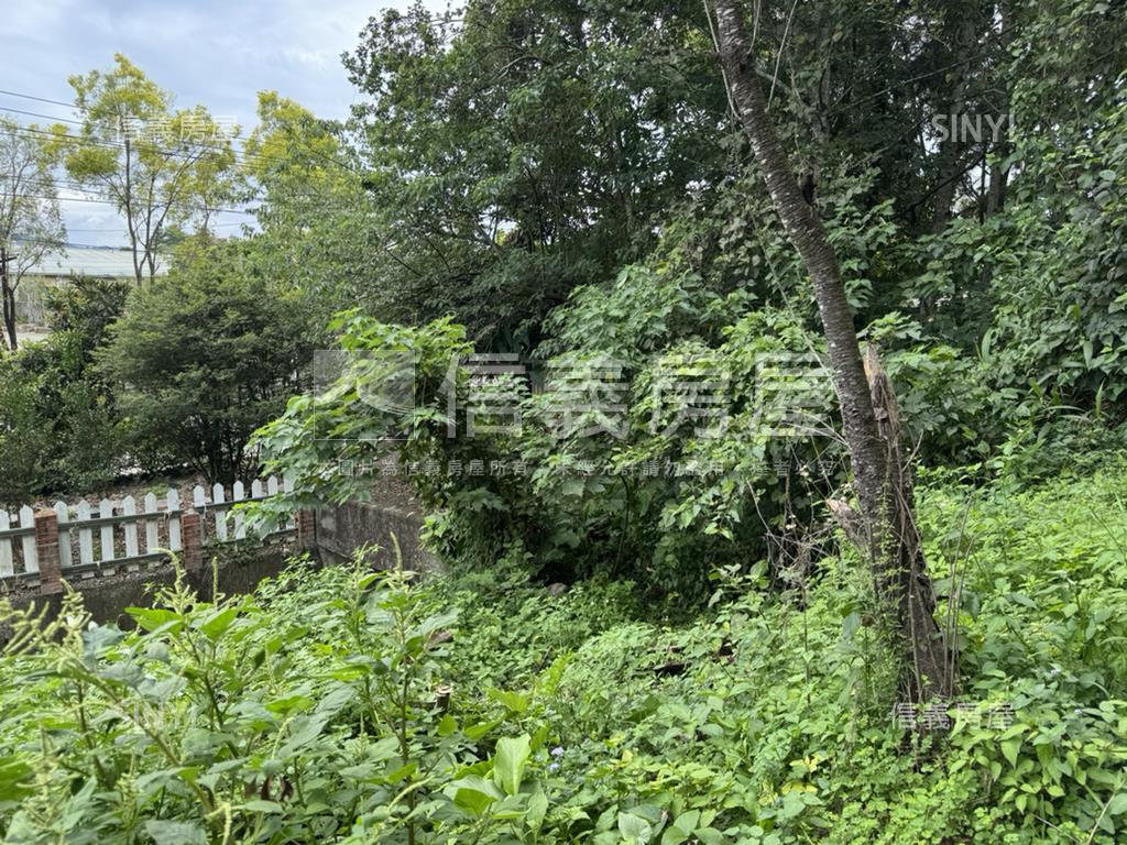 埔里丙種建築用地房屋室內格局與周邊環境