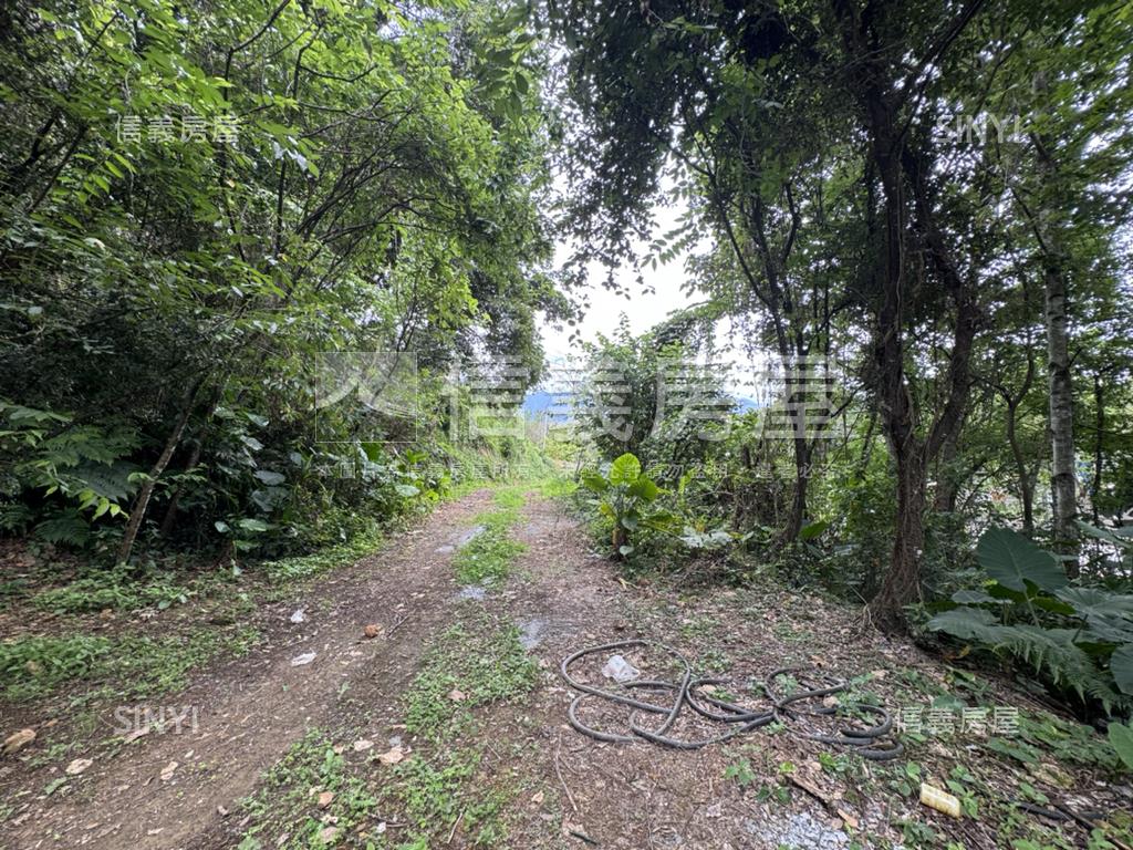 埔里丙種建築用地房屋室內格局與周邊環境