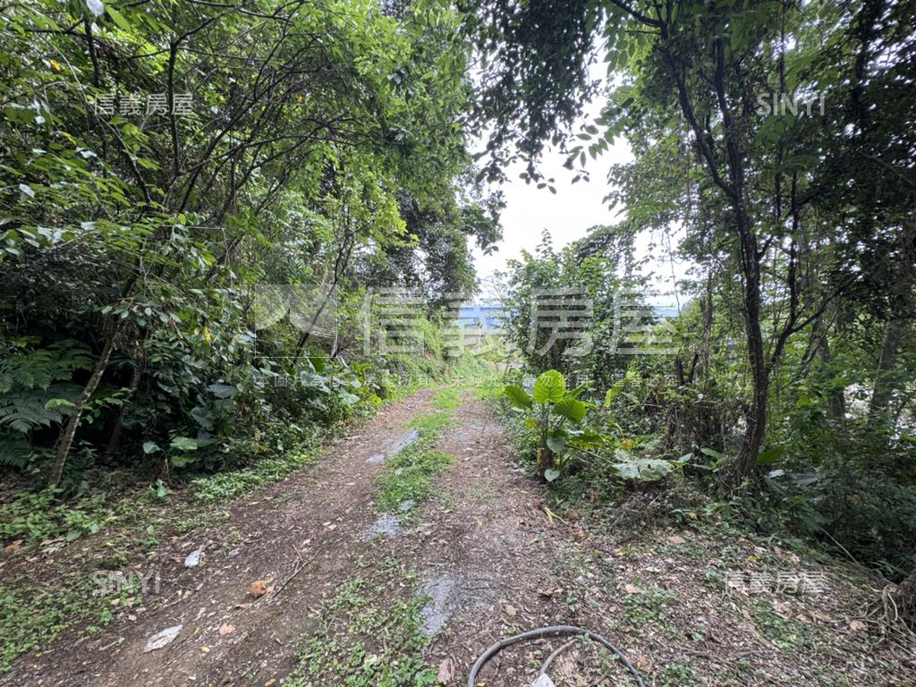 埔里丙種建築用地房屋室內格局與周邊環境