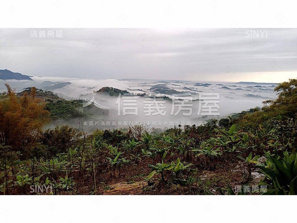 南投中寮鄉農用地房屋室內格局與周邊環境