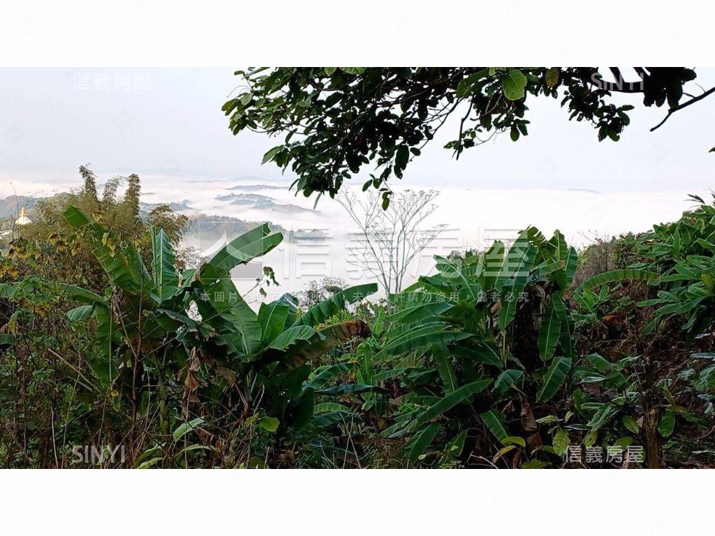 南投中寮鄉農用地房屋室內格局與周邊環境