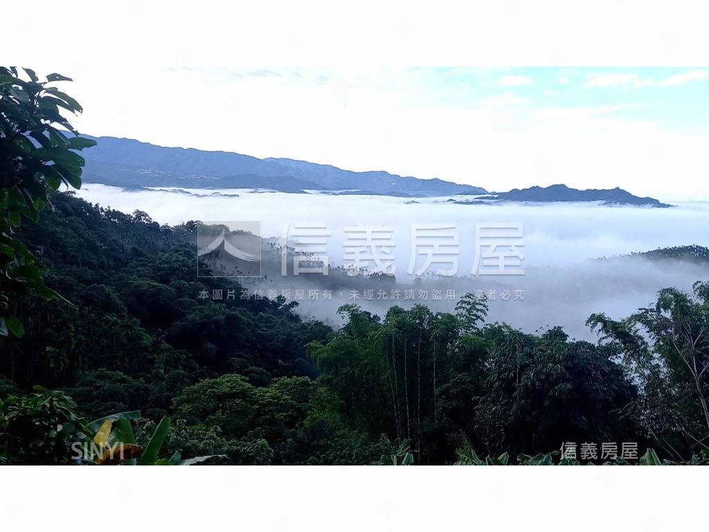 南投中寮鄉農用地房屋室內格局與周邊環境