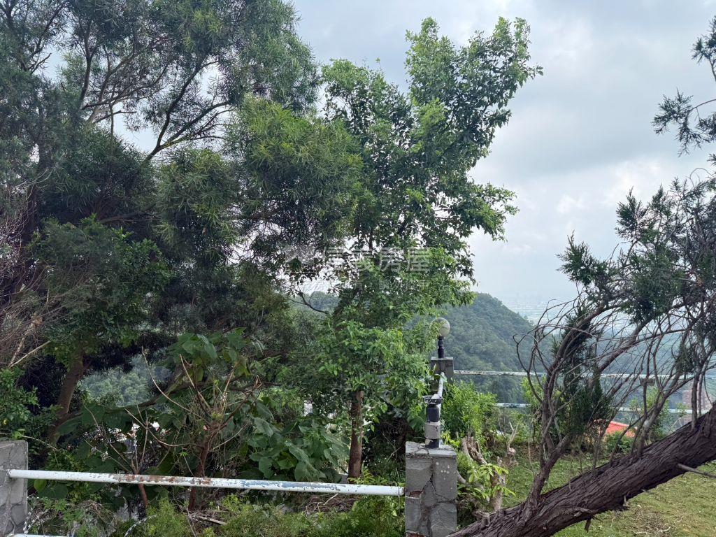 遠眺平原．大氣威靈頓房屋室內格局與周邊環境