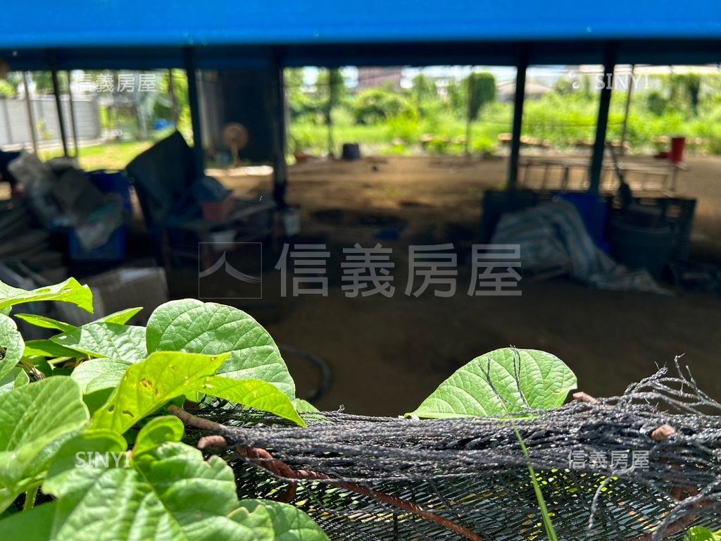 阿蓮鴨寶寶快樂農地房屋室內格局與周邊環境