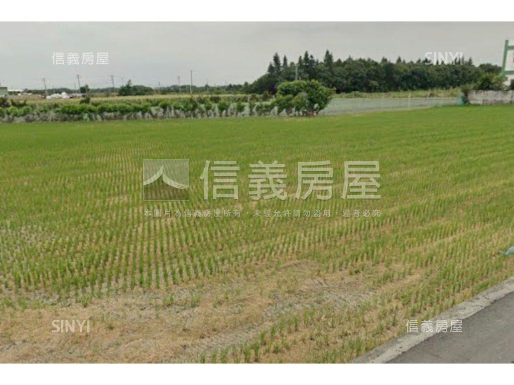 芳苑臨路２千多坪農地房屋室內格局與周邊環境