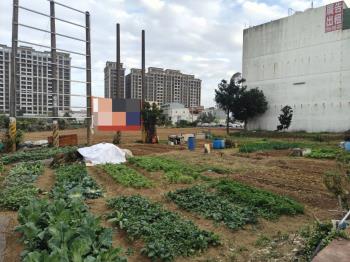 都計內方正農地