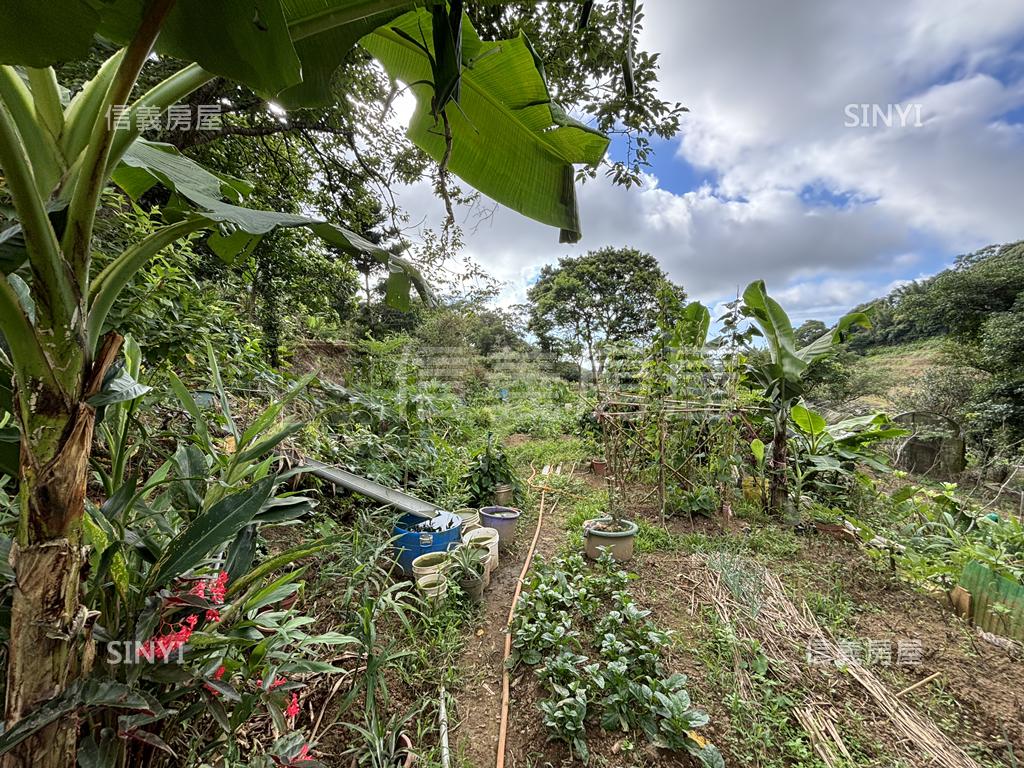 埔頭坑溪農業用土地房屋室內格局與周邊環境