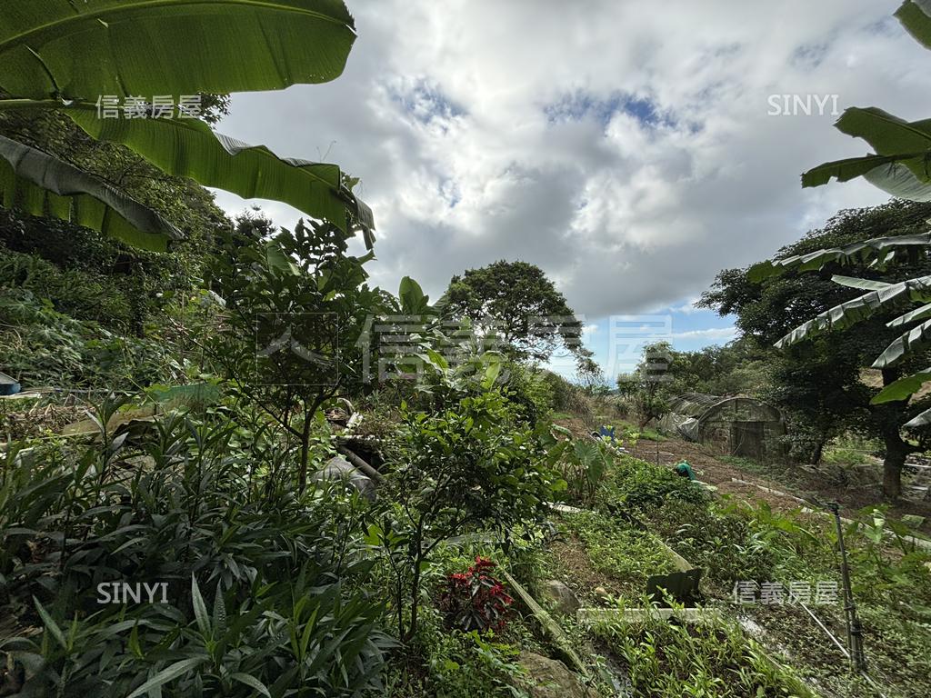 埔頭坑溪農業用土地房屋室內格局與周邊環境