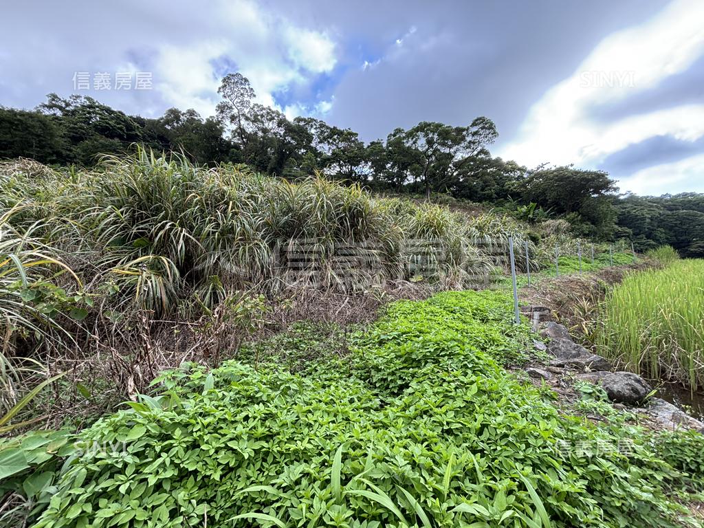 埔頭坑溪農業用土地房屋室內格局與周邊環境